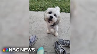 Residents outraged after police officer shoots, kills small dog