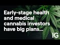 Early-stage health and medical cannabis investors Seed Innovations up 20% after maiden dividend