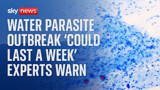 Water parasite outbreak &#39;could last a week&#39; expert warns