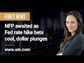 Forex News: 02/12/2022 - NFP awaited as Fed rate hike bets cool, dollar plunges