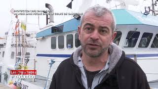 GASCOGNE Pêche interdite dans le Golfe de Gascogne: des professionnels désemparés