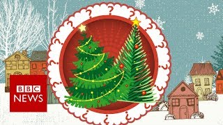 FIR Fake or fir? Your Christmas tree's carbon footprint - BBC News
