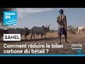 Au Sahel, des chercheurs tentent de réduire le bilan carbone du bétail • FRANCE 24