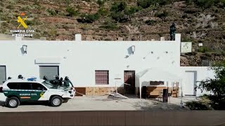 Seis detenidos en Roquetas (Almería) con un cultivo de 3.000 plantas de marihuana