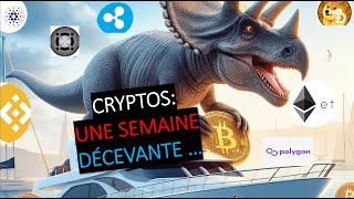 Investir 5% de son patrimoine dans l&#39;écosystème cryptos (05/08/24)