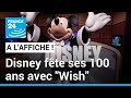 EURO DISNEY - "Wish", le dessin animé pour fêter les 100 ans de Disney • FRANCE 24