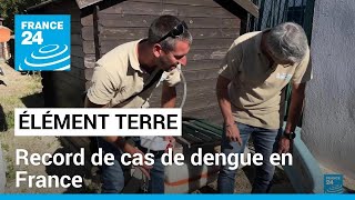 Record de cas de dengue en France • FRANCE 24