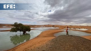 SECO Las inundaciones en el desierto de Marruecos resucitan un lago seco desde hace 50 años