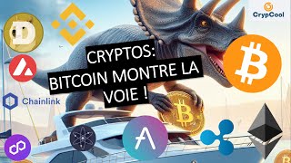 Investir 5% de son portefeuille dans l&#39;écosystème cryptos (28/10/24)