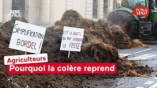 Agriculteurs : Pourquoi la colère reprend