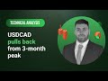 Technical Analysis: 01/09/2023 - USDCAD pulls back from 3-month peak