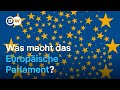 EU erklärt: Was macht das Europäische Parlament? 2/5 | DW Nachrichten
