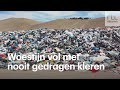 Illegale kledingdump: woestijn volgestort met ongedragen kleren