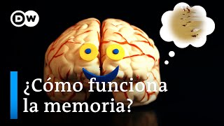 Nuestra memoria: ¿cómo trabaja y qué le hace bien?