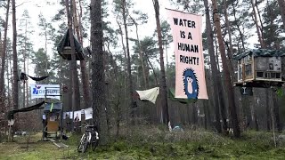 TESLA INC. Germania, ambientalisti occupano la foresta per protestare contro l&#39;espansione della fabbrica Tesla