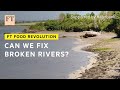 Fighting agricultural pollution in England’s waterways | FT Food Revolution