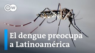 S&U PLC [CBOE] América Latina podría vivir su peor ola de dengue
