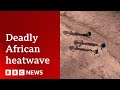 Deadly Africa heat caused by climate change, scientists say | BBC News