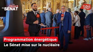 Programmation énergétique : le Sénat mise sur le nucléaire