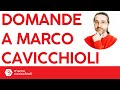 Domande in diretta a Marco Cavicchioli, 11 novembre 2024