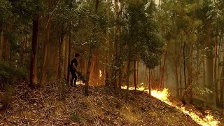 In Portogallo le fiamme non si fermano: 100 incendi e sette vittime, quattro sono vigili del fuoco