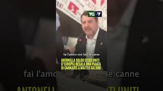 Antonella #Soldo (Stati Uniti d’Europa) regala una pianta di cannabis a Matteo #Salvini