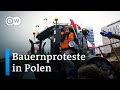 Polnische Bauern protestieren gegen ukrainische Importe | Fokus Europa