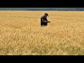 Il grano ucraino fa paura: cinque Paesi Ue chiedono ulteriori misure