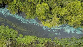 AMAZON.COM INC. From the Amazon Rainforest to the Pantanal Wetlands: Is Brazil South America’s eco paradise?