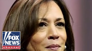 JOE Kamala Harris would be the first one to bail these criminals out: Joe Gamaldi