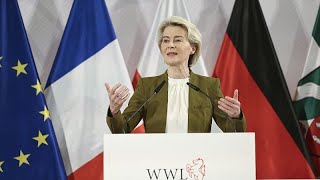 SHIELD Ursula von der Leyen doubles down on plan to create shield against foreign interference