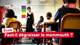 École : Faut-il dégraisser le mammouth ?