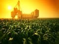 Grains, Analisi di Corn e Soybeans al 25 Novembre 2014