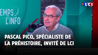 Pascal Picq, spécialiste de la Préhistoire, invité de LCI