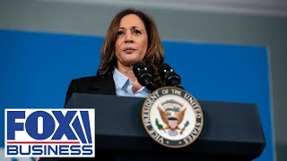 THE MARKET LIMITED &#39;DISASTROUS&#39;: Market expert sounds the alarm on Kamala Harris&#39; tax plan