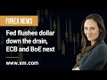 Forex News: 02/02/2023 - Fed flushes dollar down the drain, ECB and BoE next