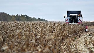 WHEAT La Commissione Ue propone forti dazi sul grano russo, si temono turbolenze di mercato