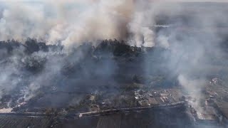 Ursache unbekannt: Großbrand in Nordrumänien zerstört Obstplantagen