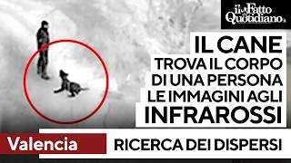 Continua la ricerca dei dispersi: elicotteri, cani e uomini lungo i fiumi e tra i detriti