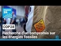 COP28 : à la recherche d'un compromis sur les énergies fossiles • FRANCE 24