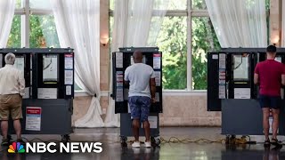 Georgia election board orders votes to be counted by hand