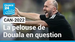 CAN-2022 : &quot;Champ de patates&quot; : Rififi autour du match Algérie - Côte d&#39;Ivoire • FRANCE 24