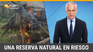 La ganadería ilegal está destruyendo una reserva natural en Nicaragua, evidencia un documental