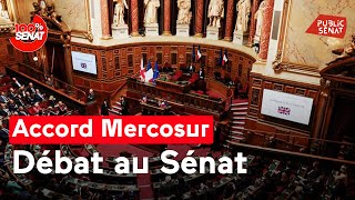 Accord UE-Mercosur : débat au Sénat