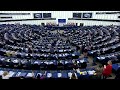 Elezioni europee 2024, sondaggio Ipsos per Euronews: le priorità degli elettori europei