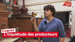 Cognac : l&#39;Inquiétude des producteurs