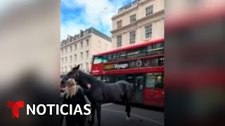 Dos caballos militares escapan de una práctica y son captados galopando en el centro de Londres