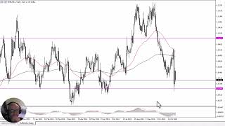 EUR/USD EUR/USD Forecast November 11, 2024