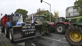 French farmers continue protests against EU-Mercosur free trade agreement