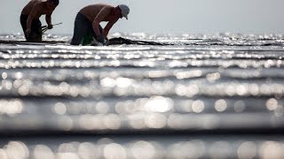 Streit in Deutschland um niedrigere Steuern für Fachkräfte aus dem Ausland